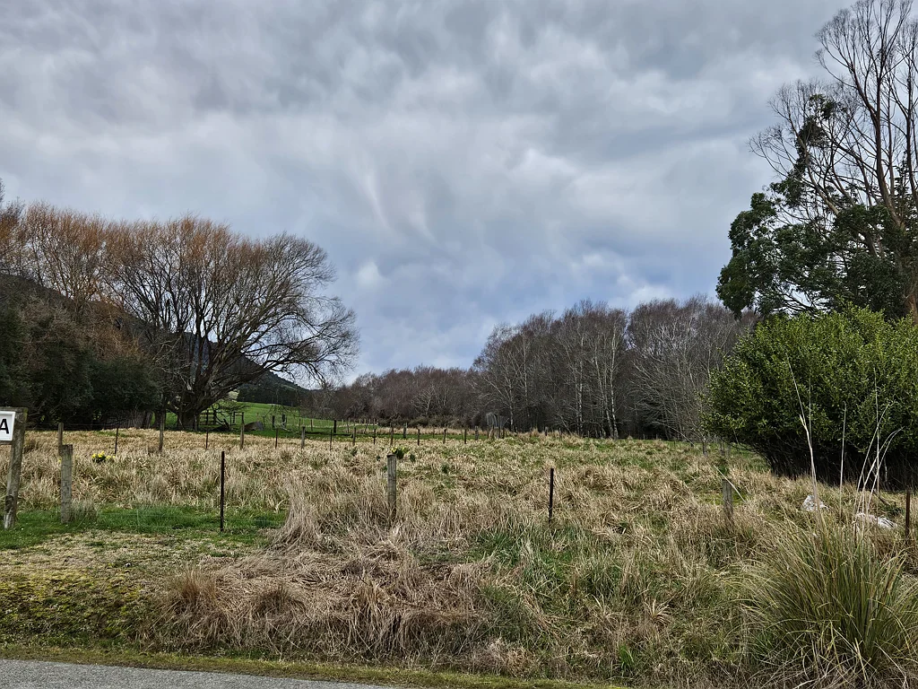 Catlins Surrounds Tahakopa Valley life
