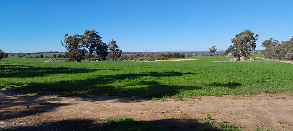 East Pingelly Small Farm Opportunity