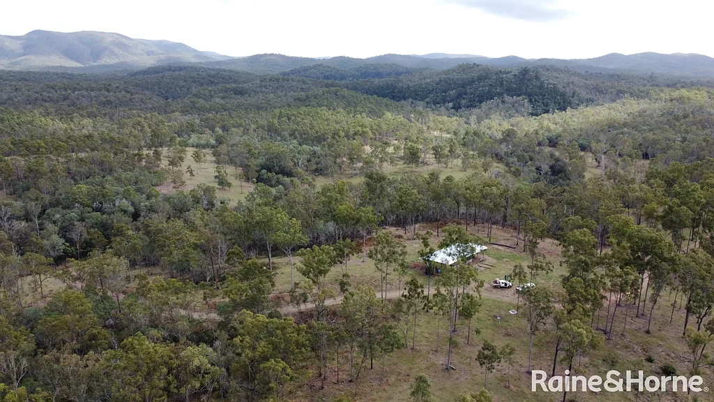 Good Night Graziers, Conservationists, Investors
