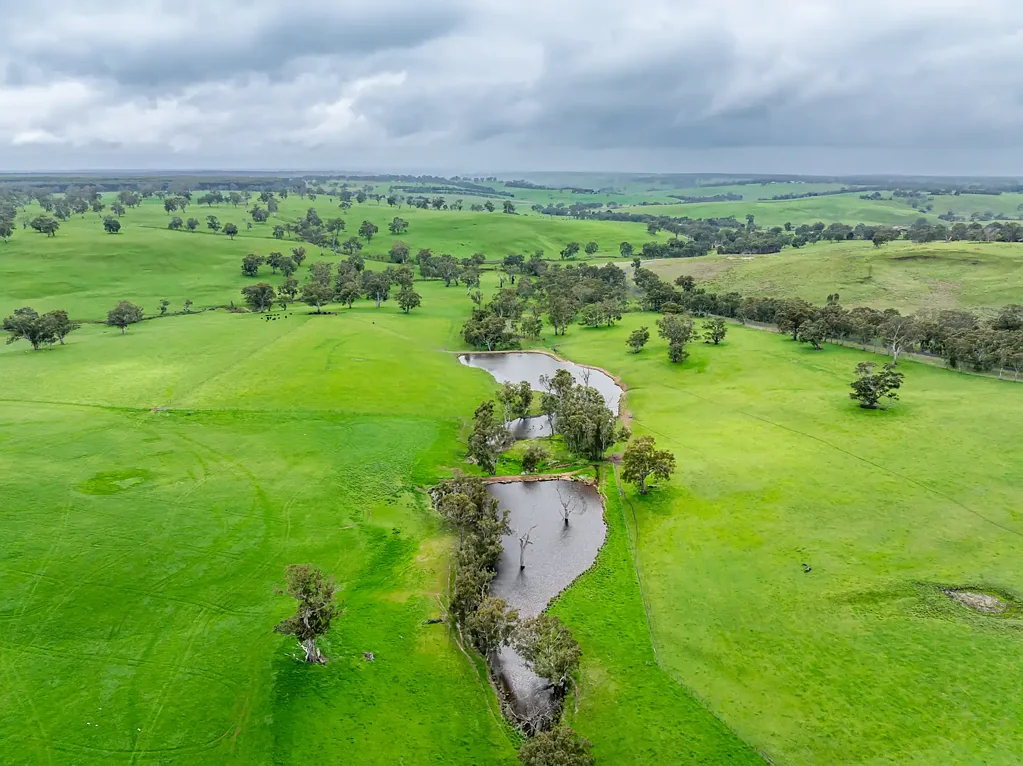 Chetwynd  Big Dams, New Fencing, Strong Grazing