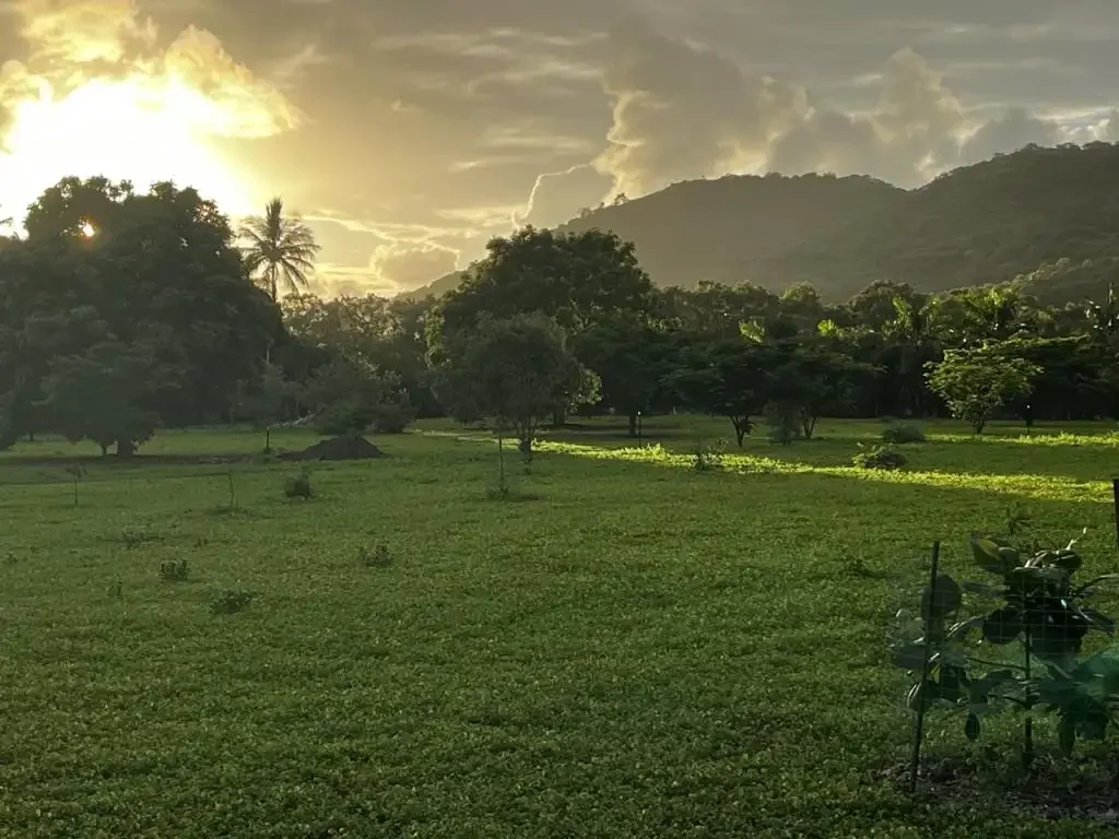 Horseshoe Bay LIVE THE TROPICAL ISLAND DREAM ON YOUR OWN ACERAGE  A once in a lifetime opportunity to secure a stunning 10 acres on magnificent Magnetic Island.