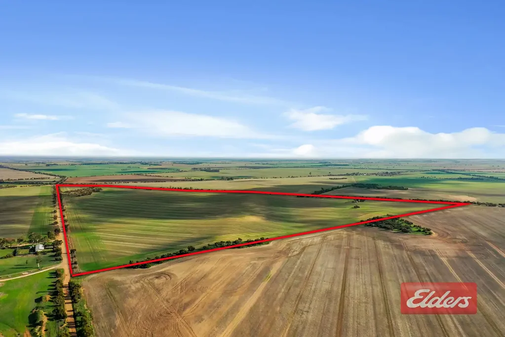 Hamley Bridge  FANTASTIC 138 ACRES