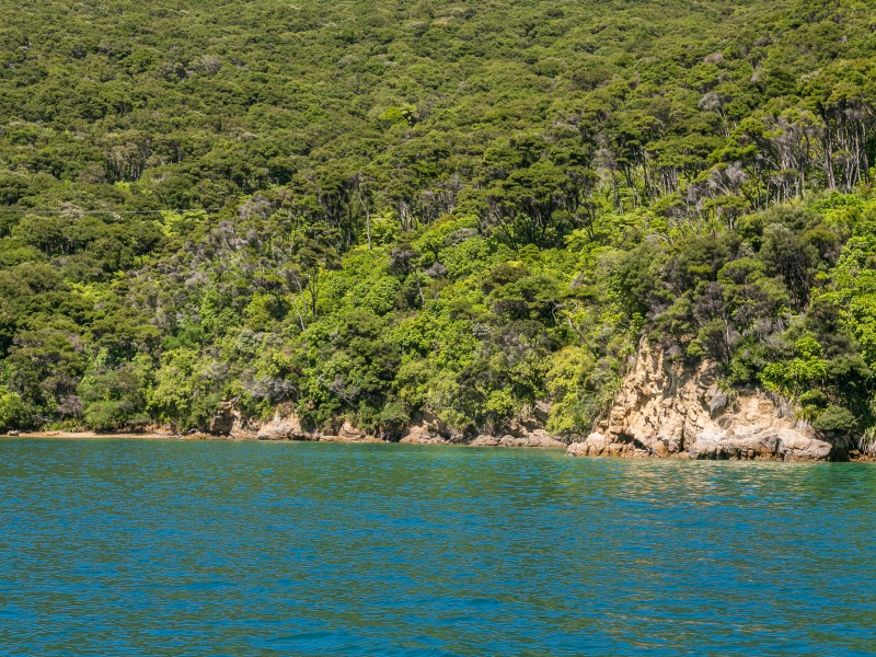 Bay Of Many Coves, Kenepuru Sound, Marlborough, 0 phòng ngủ, 0 phòng tắm