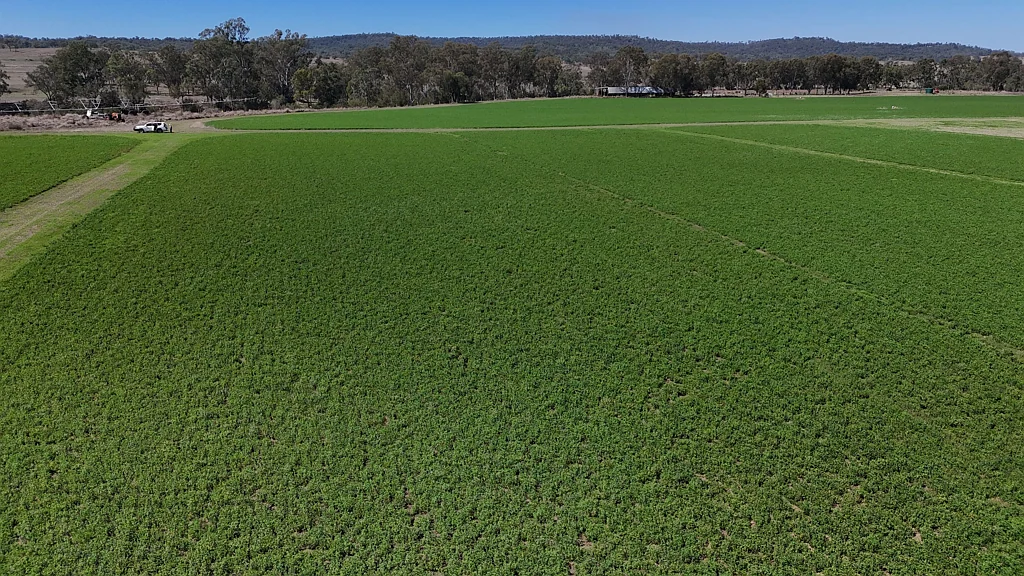 Monto Instant Cash Flow - Langley Flats Farming