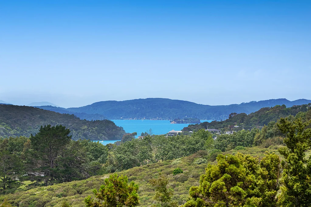 Matakana 4Moenga Priced to meet the market