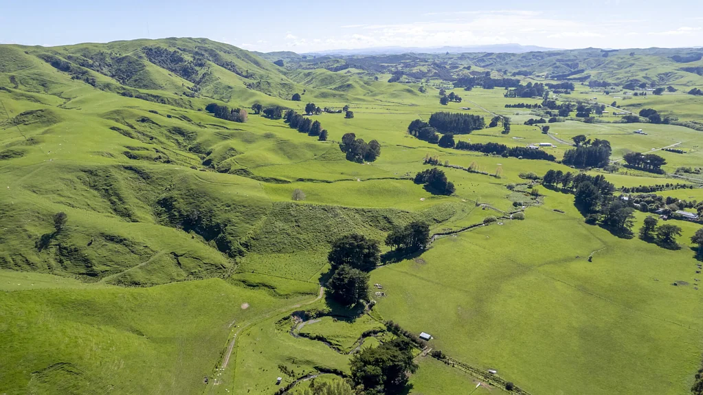Eketahuna  136-hectare Awatuna Block