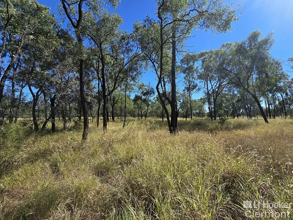Clermont Build Your Future on 5 Acres