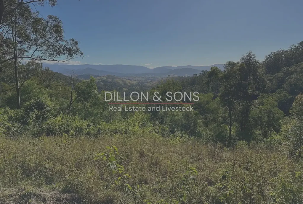 129 Quartpot Creek Road, Dungog, NSW 2420