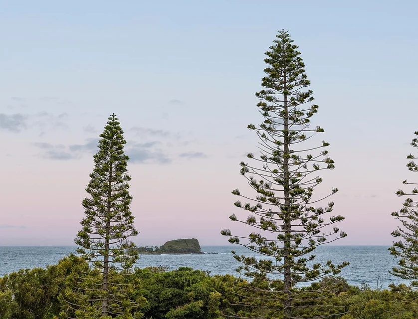 3/21 Mudjimba Esplanade, Mudjimba, Sunshine Coast, 3 રૂમ, 2 બાથરૂમ, Apartment