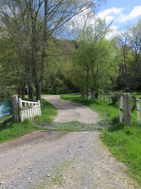 76 Spencer Road, Lake Tarawera, Rotorua, 0 Kuwarto, 0 Banyo