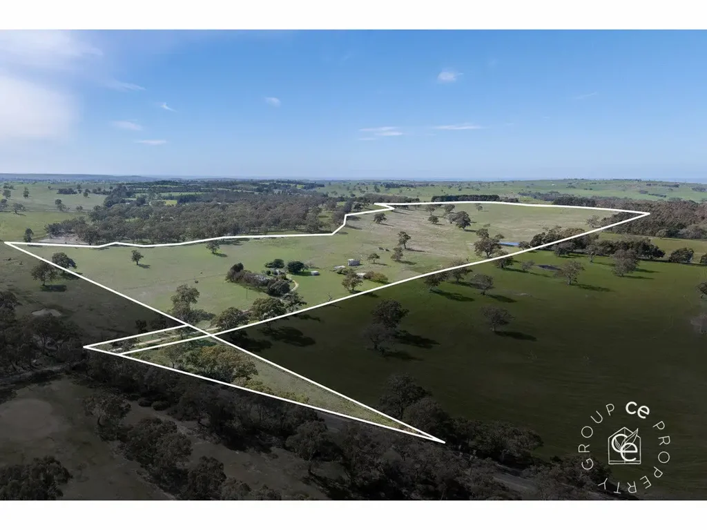 Mount Pleasant 3房  Diverse, Unique and a Great Opportunity