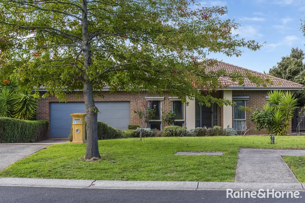 Gisborne 5房  Spacious Family Home on 1,352m²