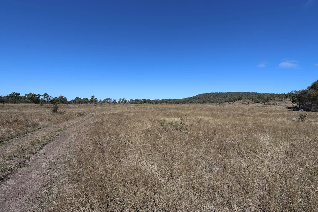 0 WEALE CREEK Road, Dalma, QLD 4702