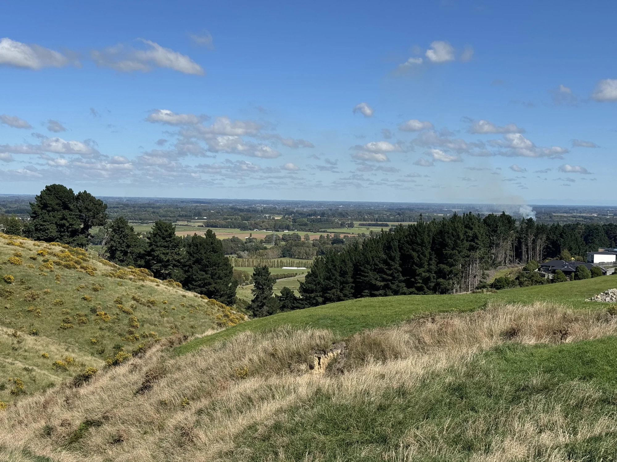 Kennedys Bush Bellbird Valley Boutique Estate