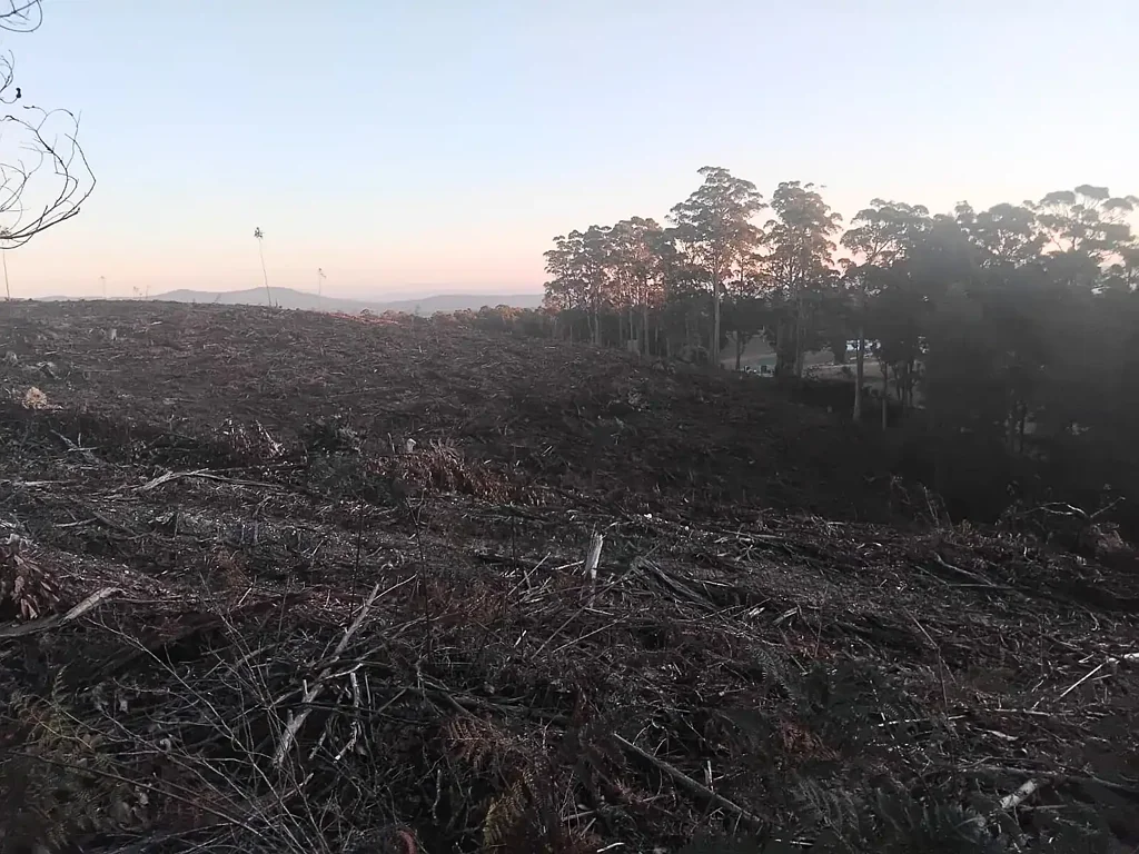 Pipers River  50 Acres Secluded Private Undulating Elevated Land 36 mins to Lton