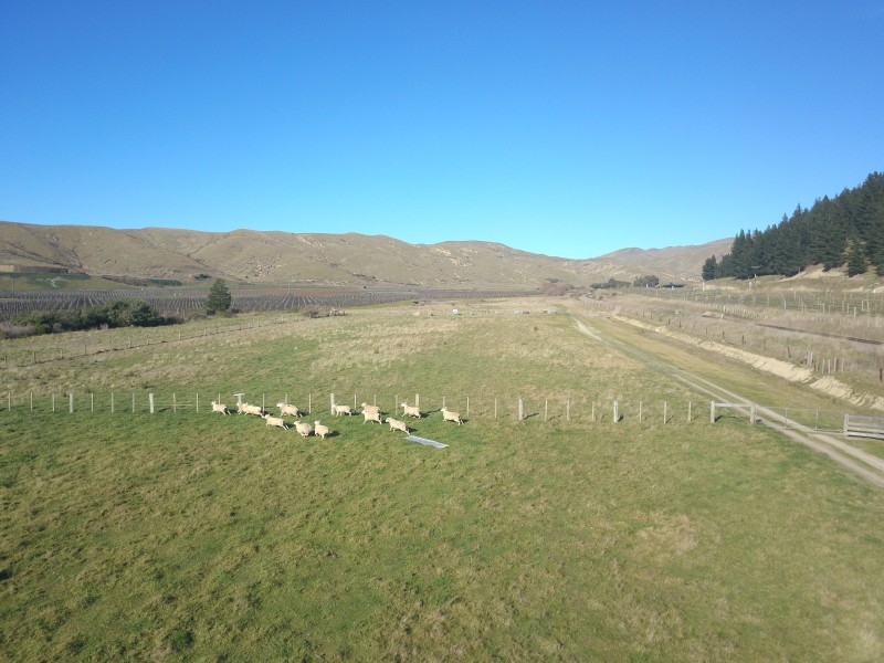 Redwood Pass Road, Redwood Pass, Marlborough, 0 rūma, 0 rūma horoi