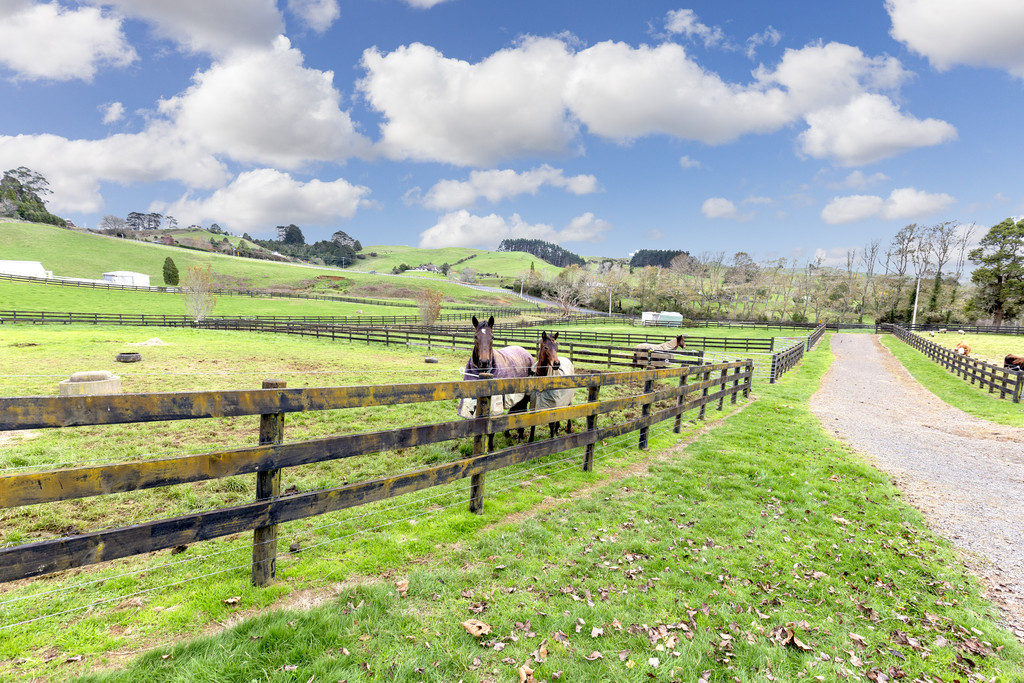 814 Paparata Road, Mangatawhiri, Waikato, 3 chambres, 0 salles de bain