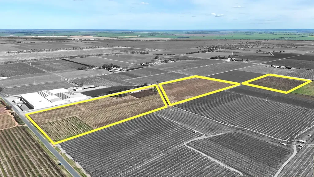 Woorinen North More Than a Fruit Block - A Lifestyle with Income, Space & Potential