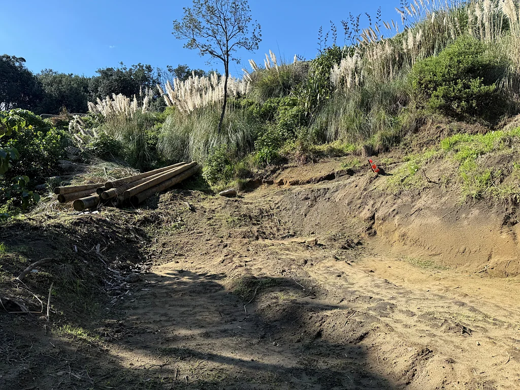 Dargaville Surrounds Bargain Price Of $99,500
