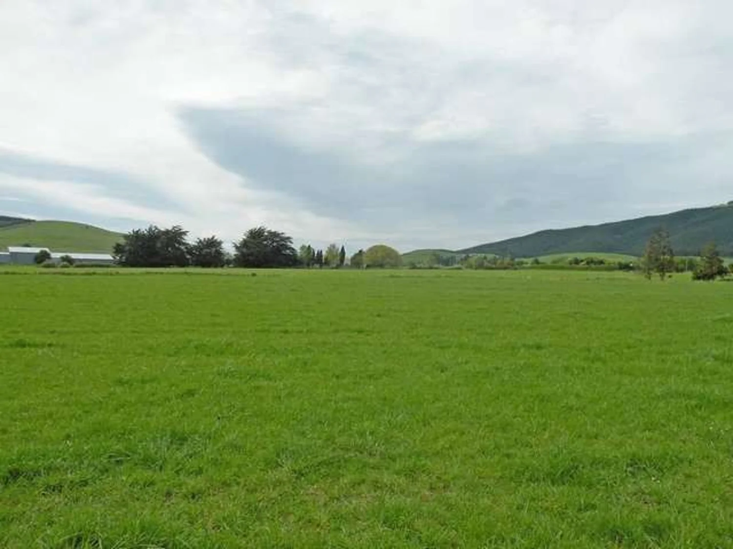 Limeworks Road, Milton, Clutha, 0 Bedrooms, 0 Bathrooms