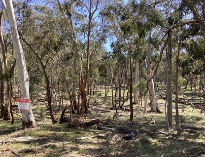 Lot 70C & McMillan Lane, Beaufort, Ballarat, 0 침실, 0 욕실, Lifestyle Property