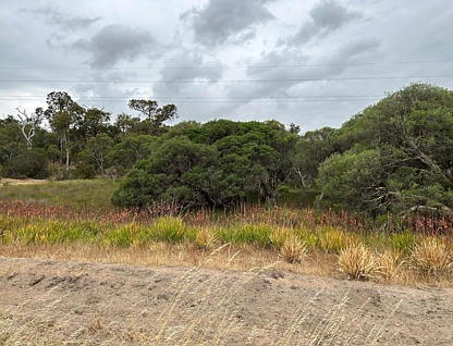 Lot 4 Moore Road, Dardanup West, Bunbury, 0 침실, 0 욕실, Lifestyle Property