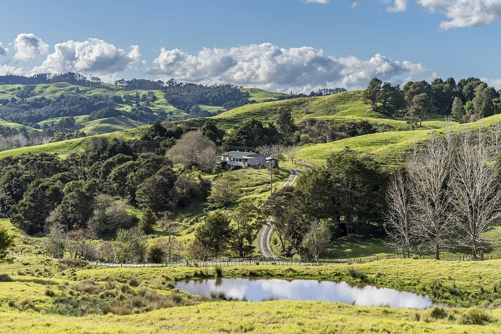 Paparoa 3બેડરૂમ Fathers Day Open Home - You're invited!