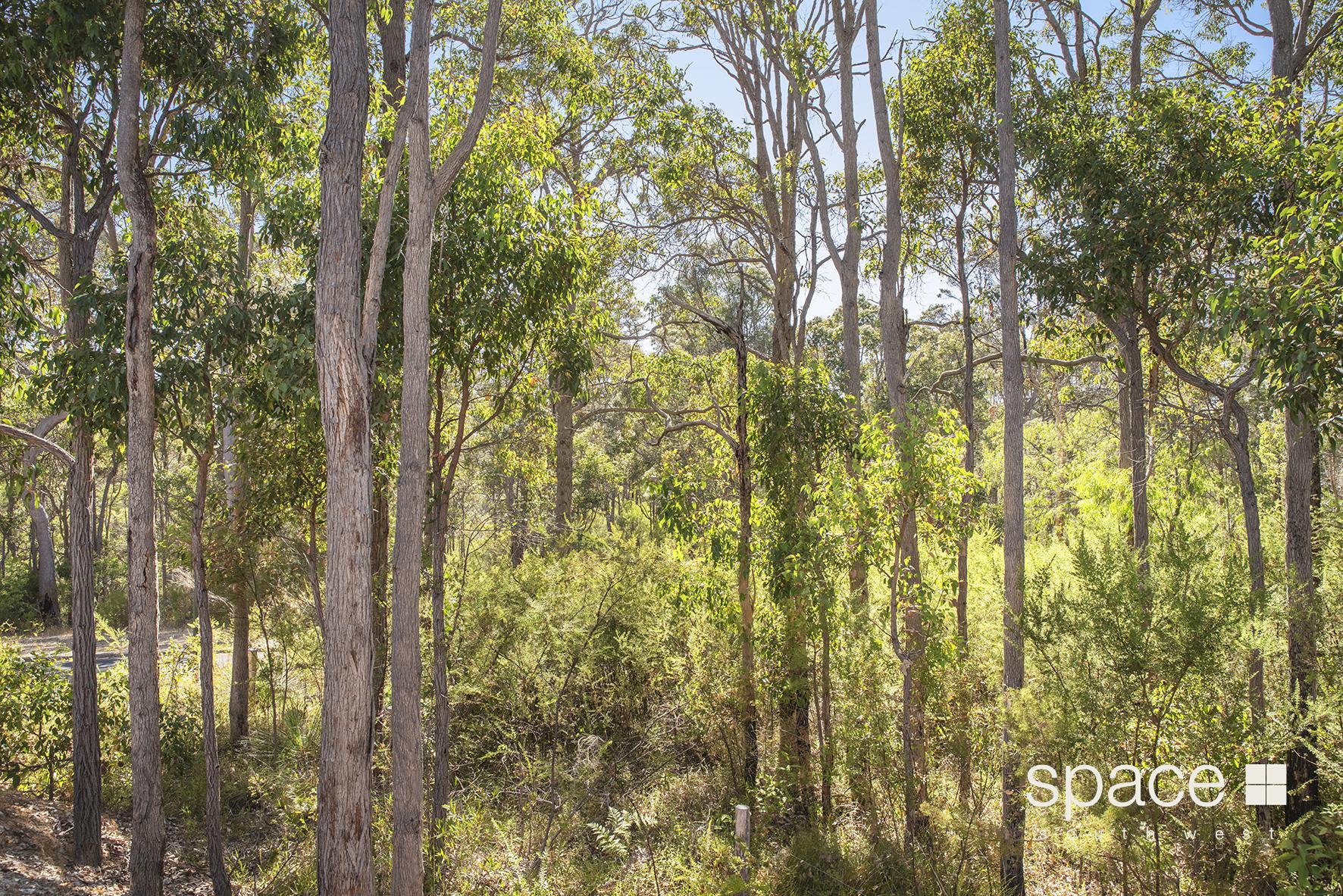 22 RIVERSLEA DR, MARGARET RIVER WA 6285, 0 rūma, 0 rūma horoi, Section