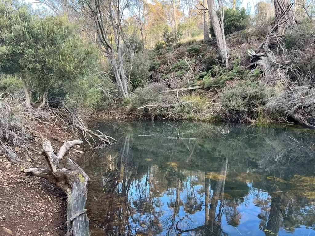 Swanston BUSHLAND GETAWAY with infrastructure - 200+Ha