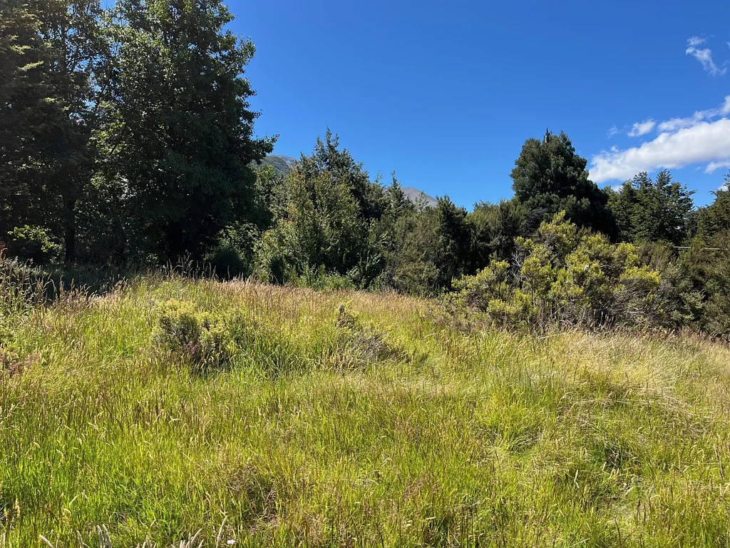 Lyford  Prime 4025 sqm section in the heart of the village – Ready to build!