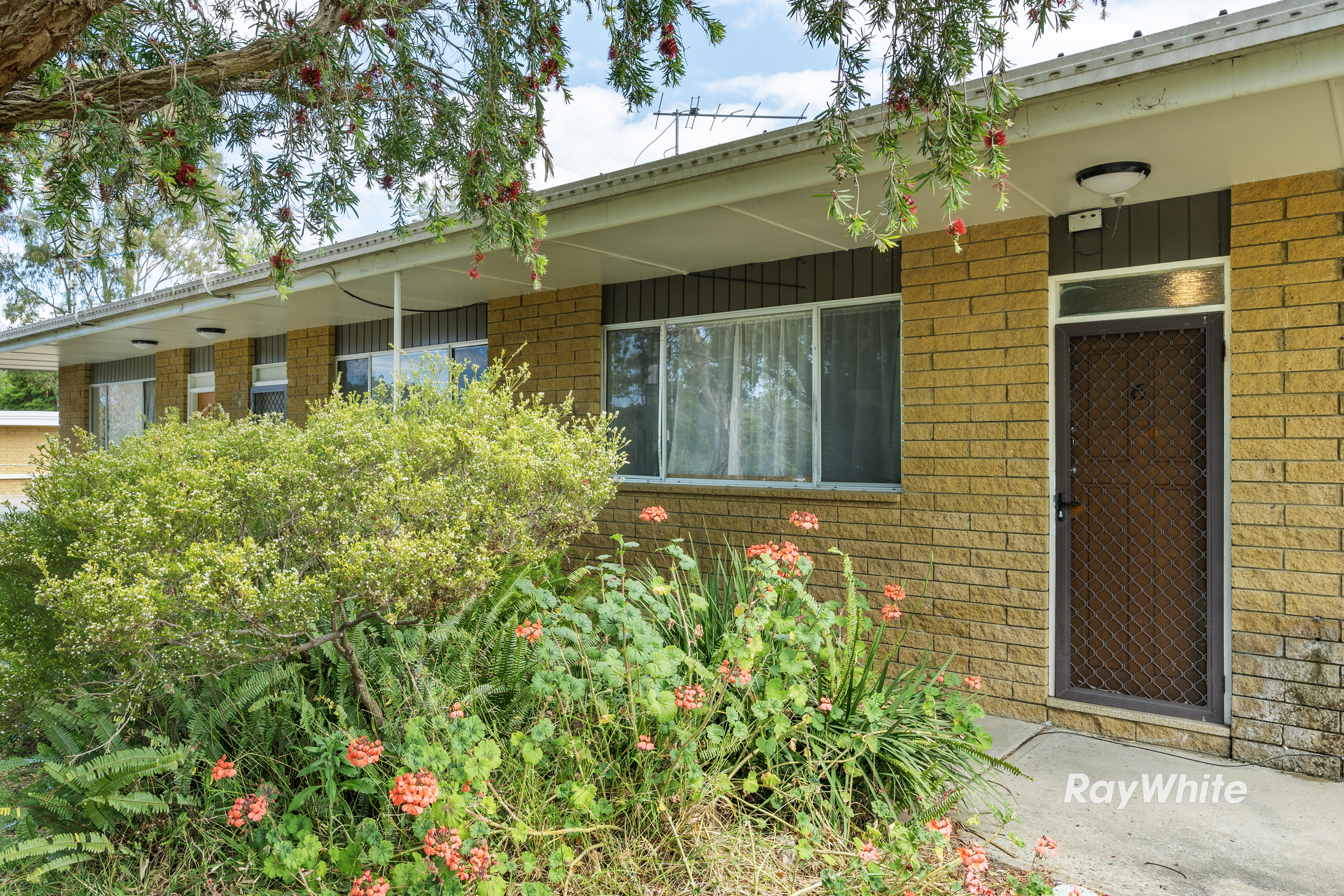 67 EVANS ST, MORUYA NSW 2537, 0房, 0浴, Unit