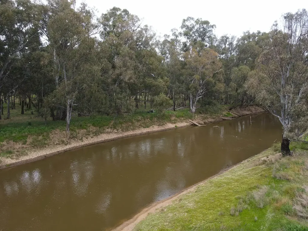 303 North Condobolin Road, Warroo, NSW 2871