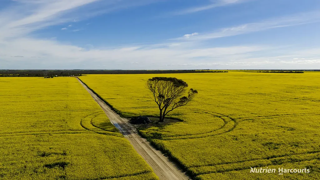 Scaddan "30 Mile: Prime Cropping Land in the Heart of Scaddan"