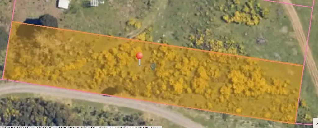 Waratah Wonderful Waratah!