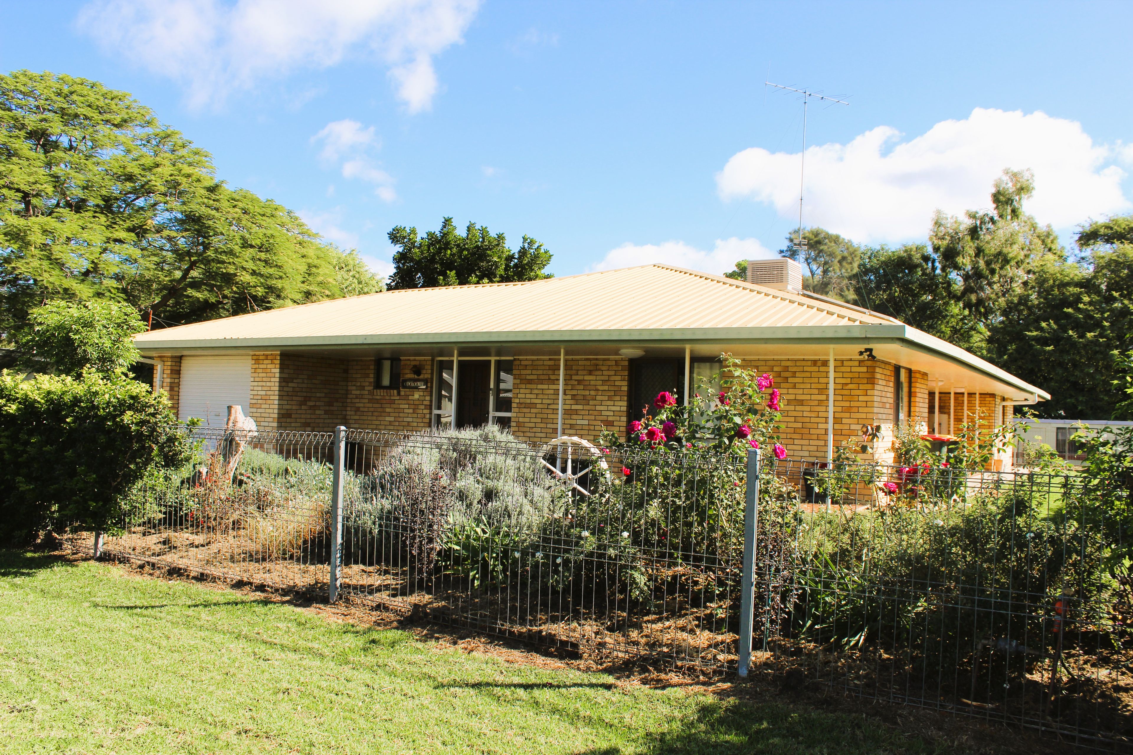 11 HINDMARSH ST, GOONDIWINDI QLD 4390, 0房, 0浴, House