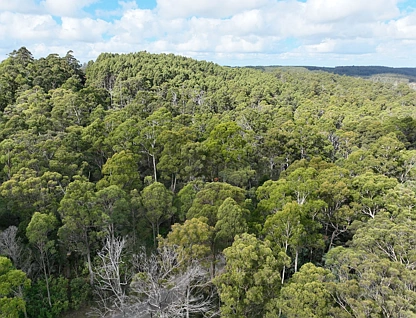Part of 190 Porters Bridge Road, Exton, Launceston and North East, 0 Kuwarto, 0 Banyo, Lifestyle Property