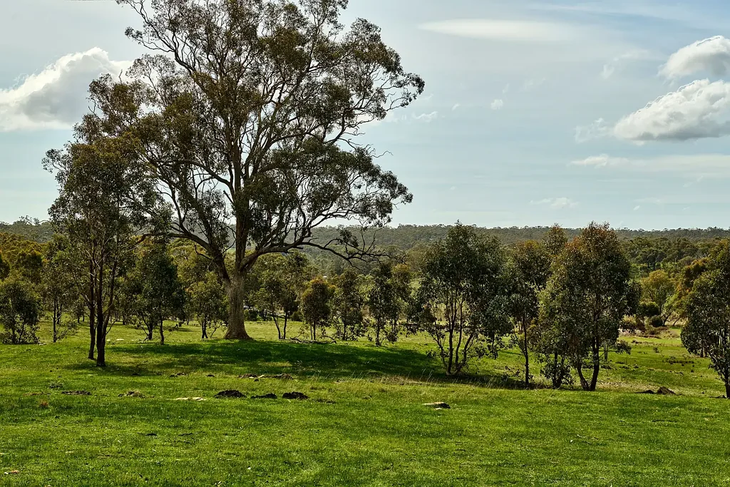 Heathcote An Instantly Appealing Property