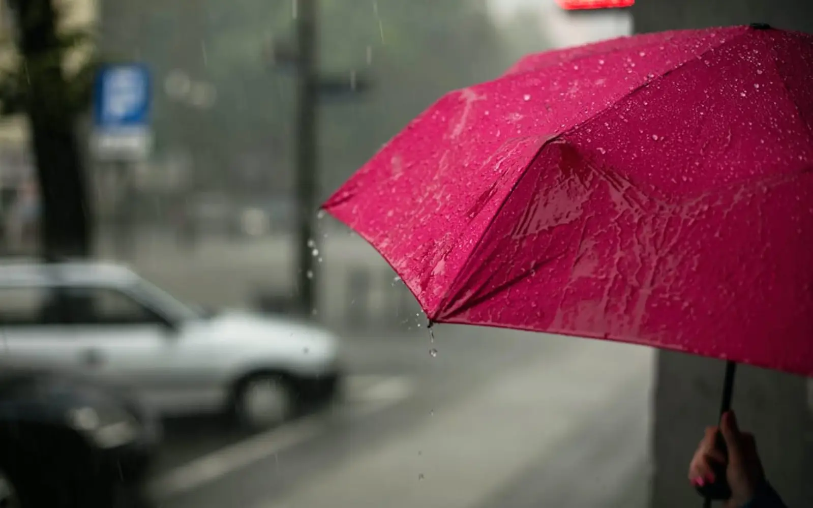 风雨来袭,周四起奥克兰或遭遇暴雨、强风和洪水