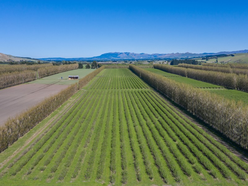 37 Omihi Station Road, Waipara, Hurunui, 0 habitaciones, 0 baños