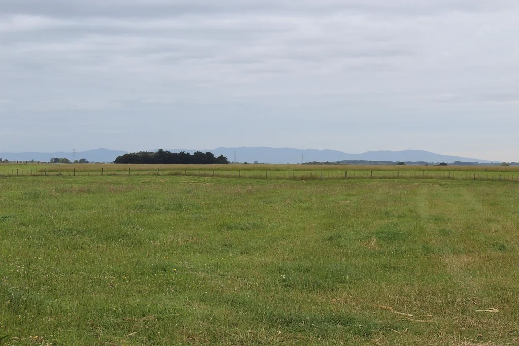 Halcombe  Country lifestyle section