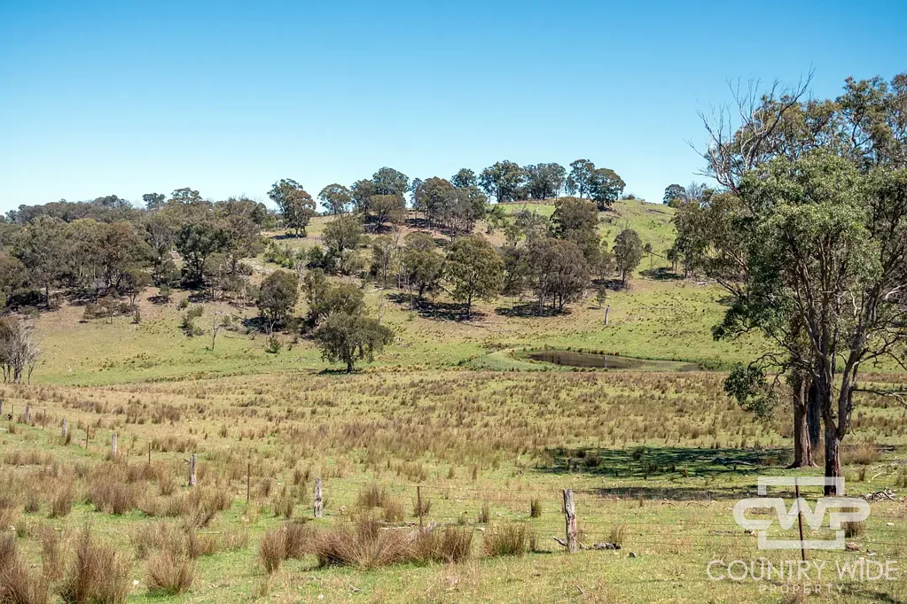 Deepwater Eastern Grazing Land