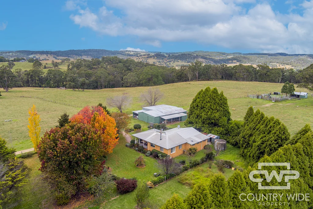 Glen Innes 'Millencourt'