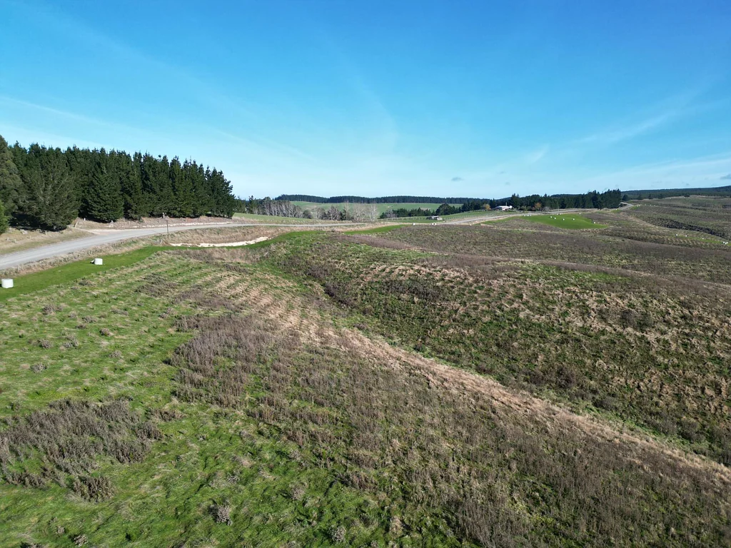 Tapanui  Gentle contoured forestry block in renowned area