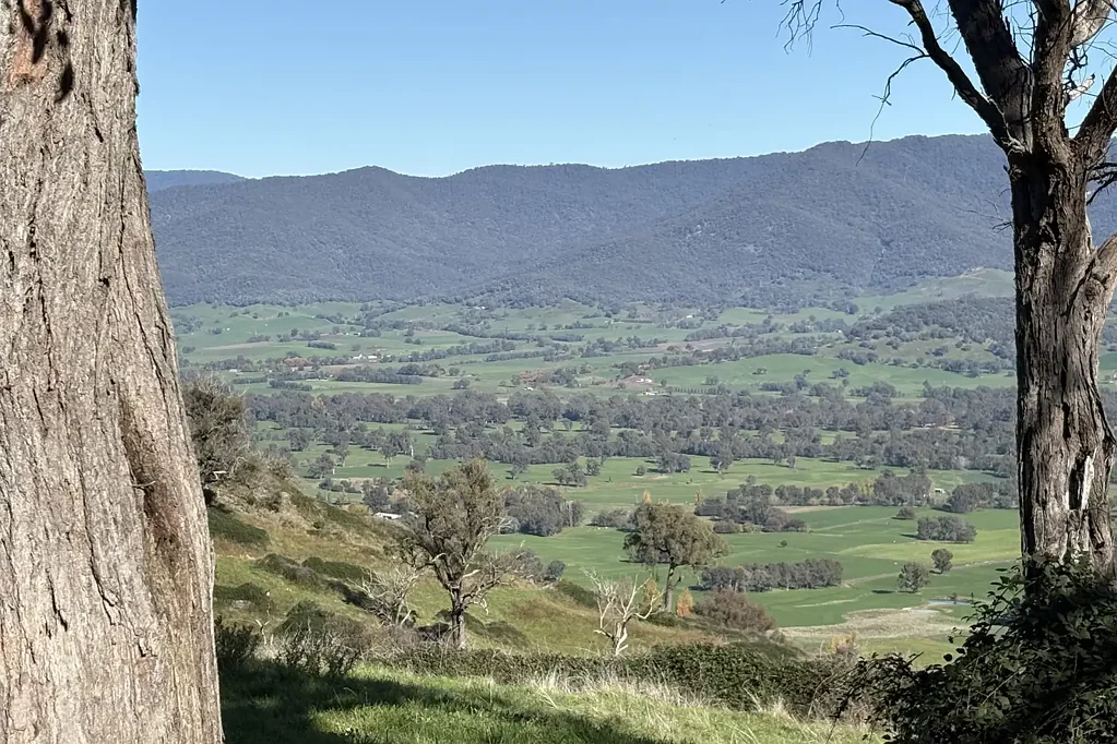 Gundowring Grazing & Panoramic Views in the Kiewa Valley