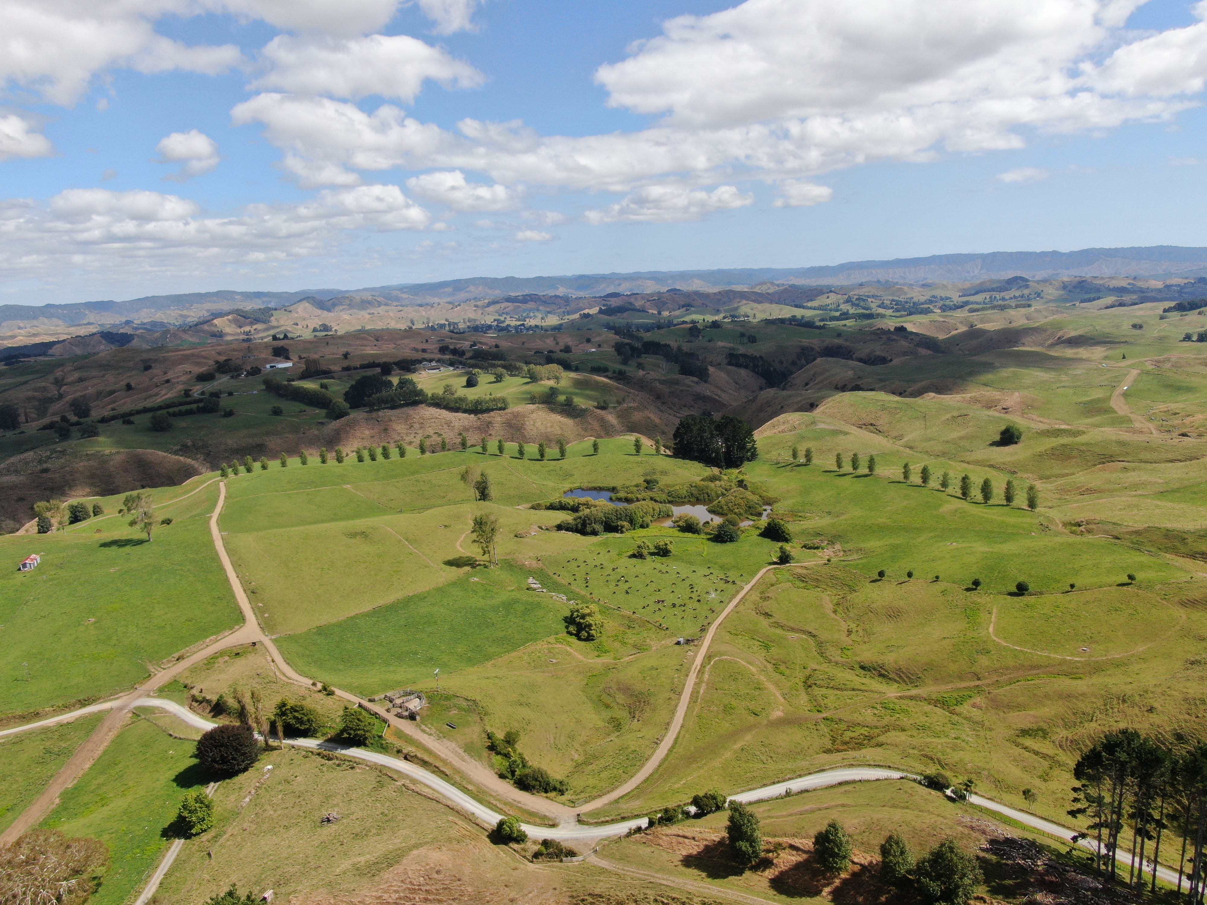 Paekaka Road, Piopio, Waitomo, 0 कमरे, 1 बाथरूम, Grazing