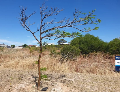 lot 404 Point Leander Drive, Port Denison, Outback (South), 0房, 0浴, Section