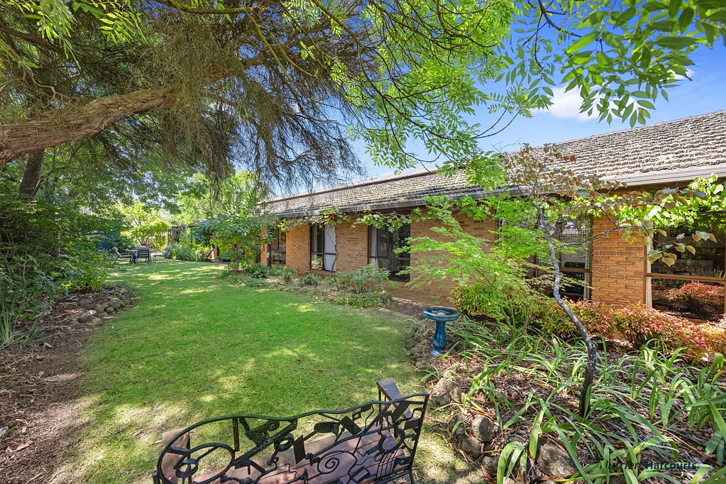 41 Albert Street, Alexandra, VIC 3714