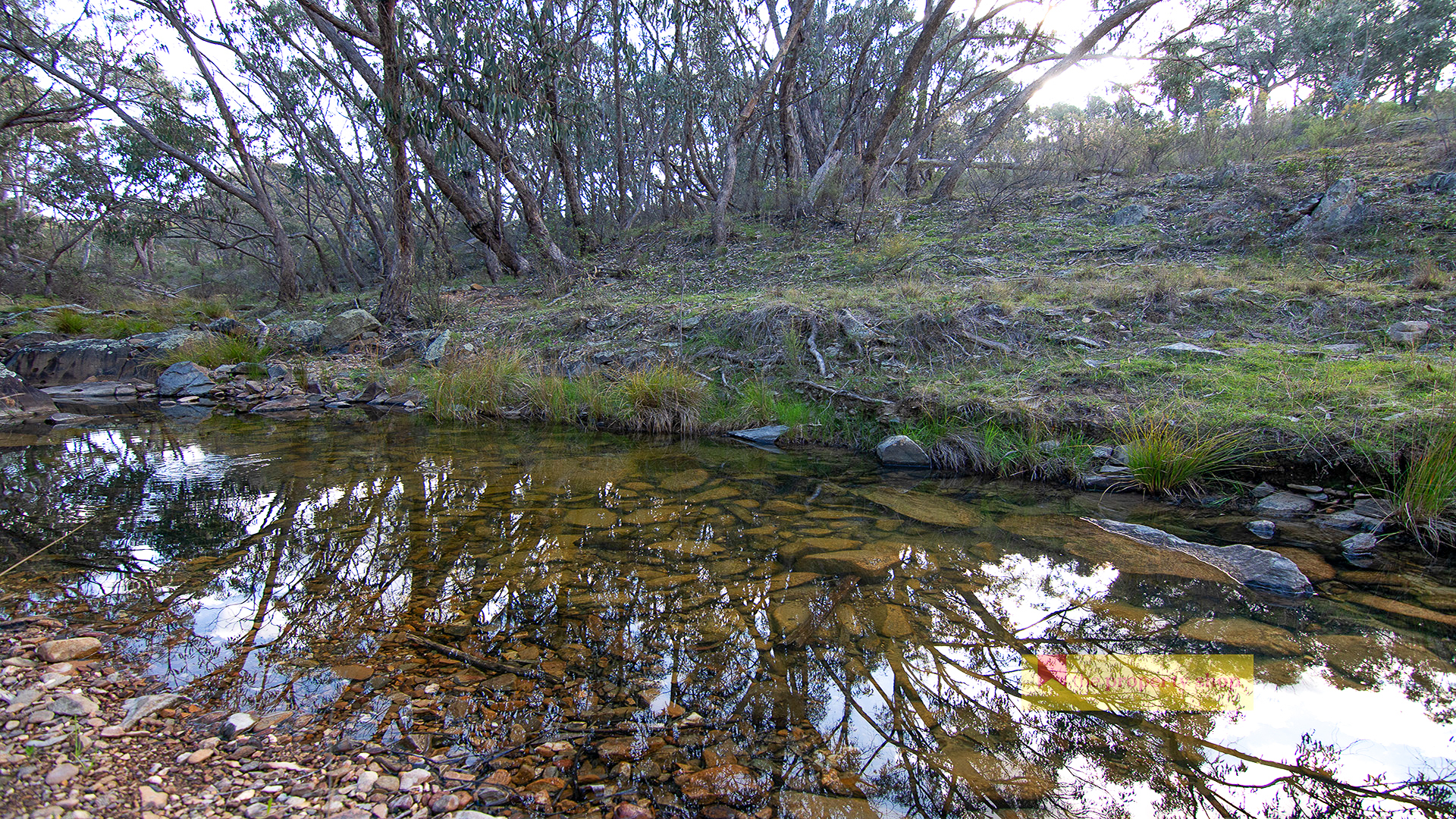 96 SORATA LANE, WINDEYER NSW 2850, 0 ਕਮਰੇ, 0 ਬਾਥਰੂਮ, Lifestyle Property