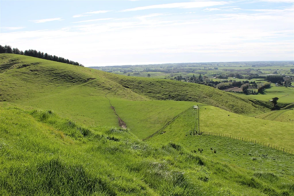 Manakau Prime Grazing Land with Exceptional Views!!