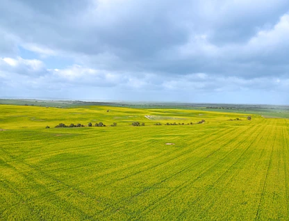 'Ghost Gully' Sectio Ghost Gully Road, Koolunga, Barossa - Yorke - Mid North, 0 ห้องนอน, 0 ห้องน้ำ, Lifestyle Property